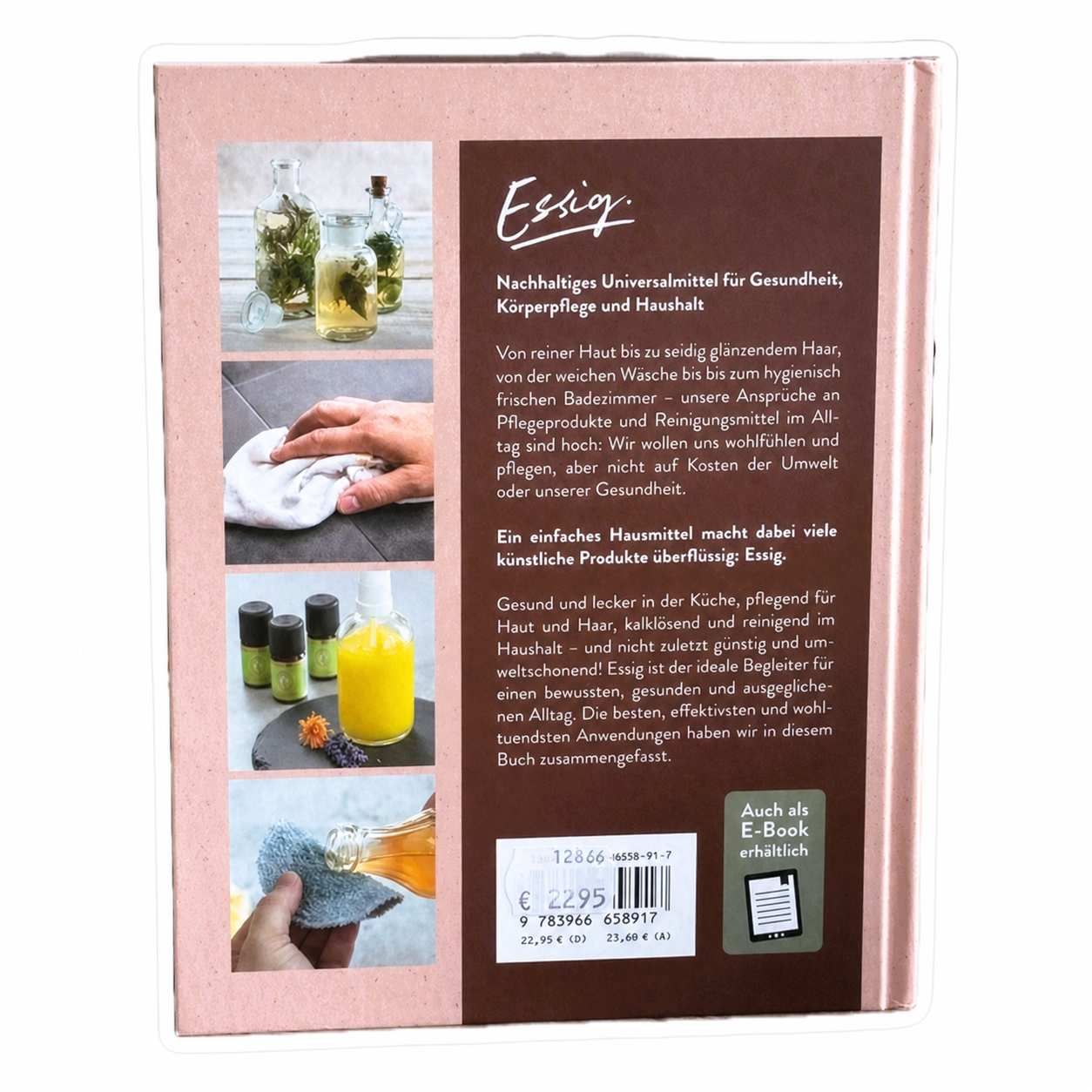 Buch Das ESSIG Handbuch