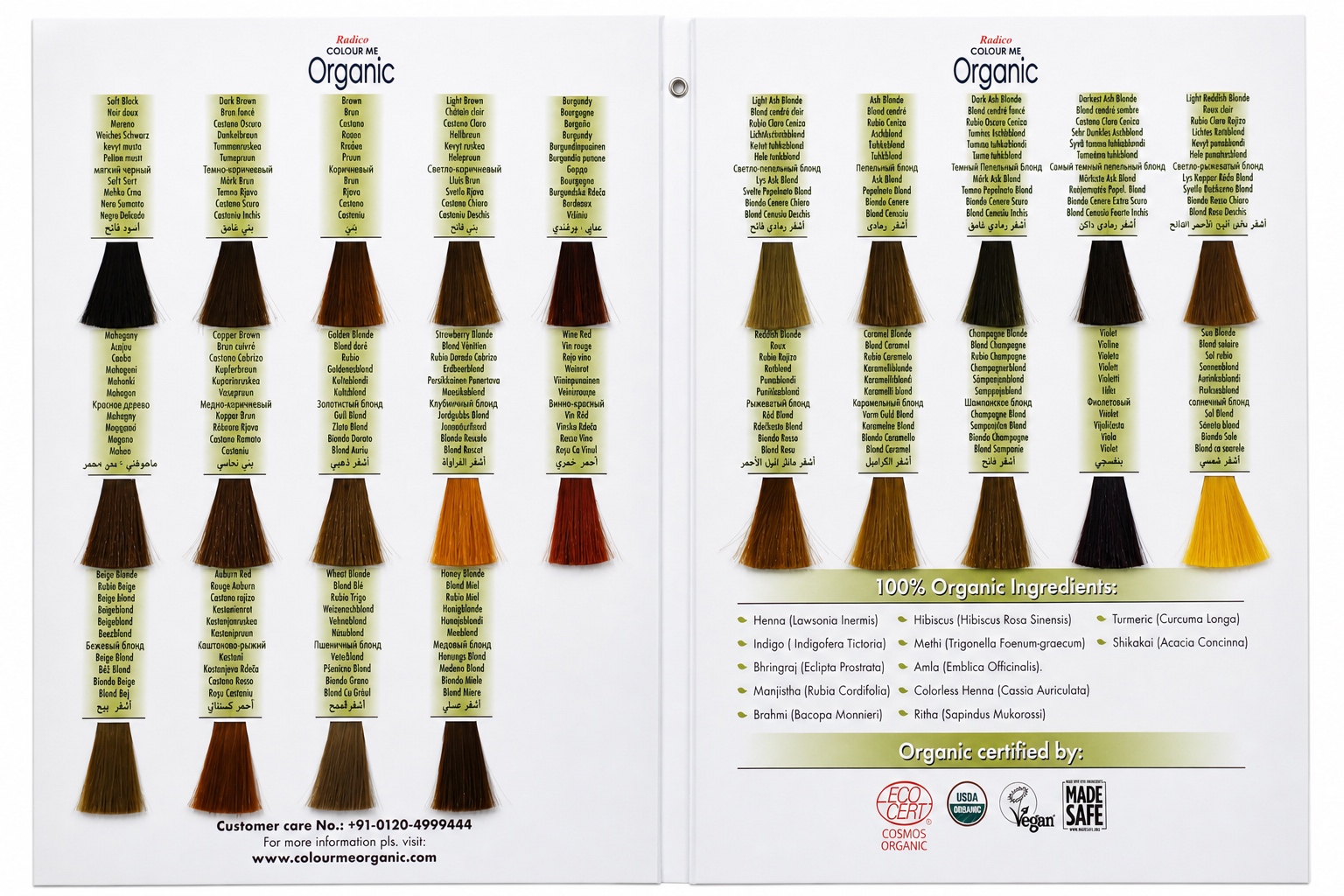 Radico Haarfarbe Leichtes Aschblond 100g